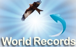 Menar World Records